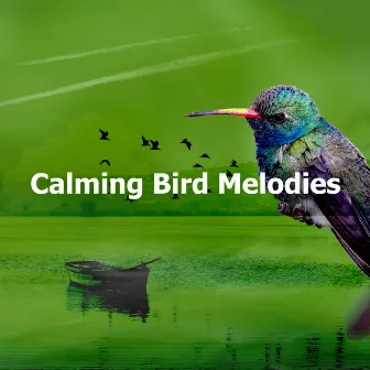 Calming Bird Melodies by Calming Bird Sounds