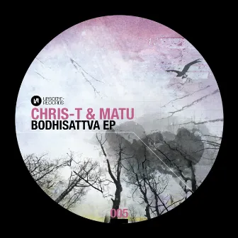 Bodhisattva EP by Chris-T & Matu