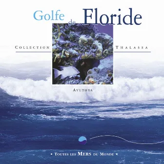 Toutes les mers du monde : Golfe de Floride by Ayuthya