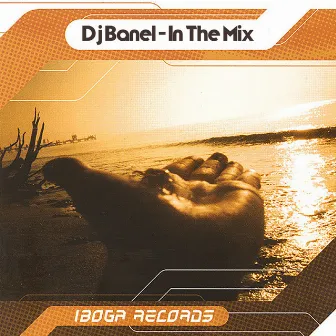 DJ Banel in the Mix by Banel