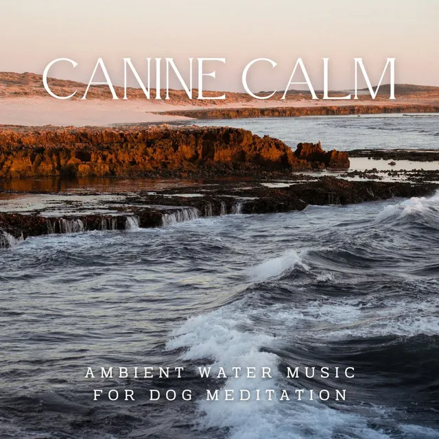 Aqua Canine Calm: Ambient Water Music for Dog Meditation