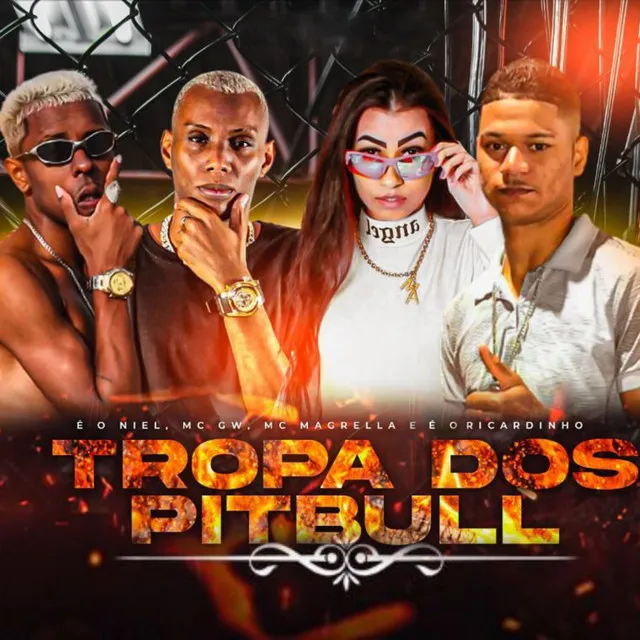 Tropa dos Pitbull