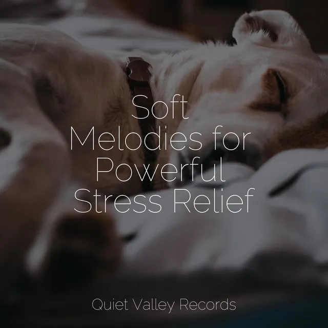 Music for Meditation and Relaxation