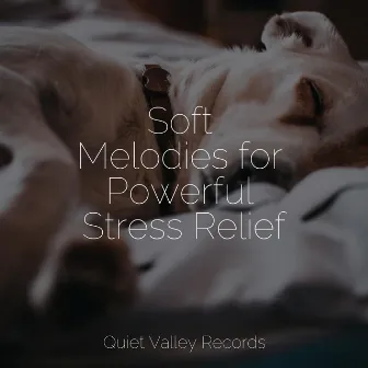 Soft Melodies for Powerful Stress Relief by Smart Baby Lullaby