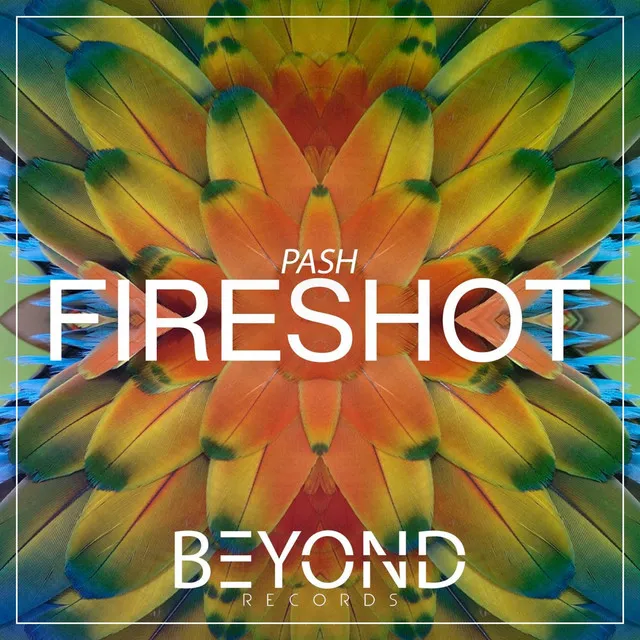 Fireshot