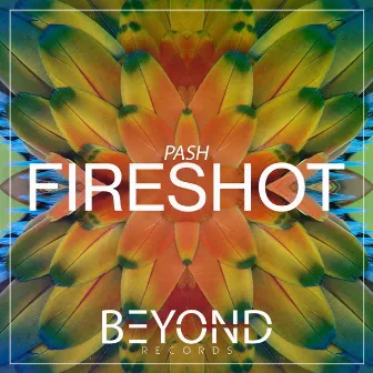 Fireshot by Pash