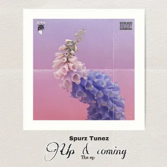 UP & COMING by Spurz Tunez