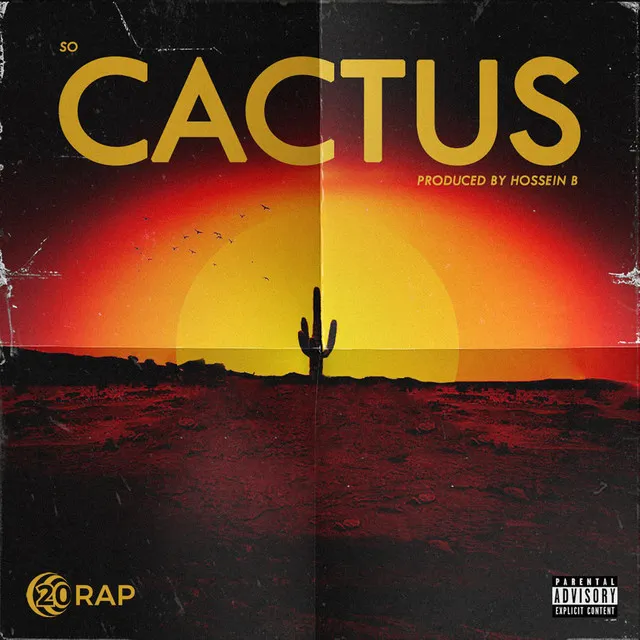 Cactus