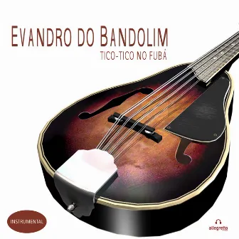 Tico Tico No Fubá by Evandro Do Bandolim