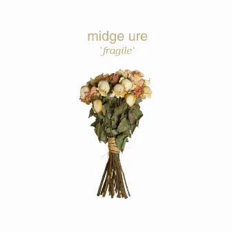 Fragile by Midge Ure