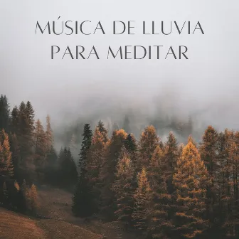 Música De Lluvia Para Meditar by Lluvia Soundzzz Club