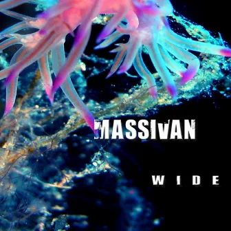 Wide by Massivan