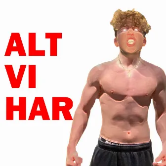 Alt Vi Har by Carl Emil