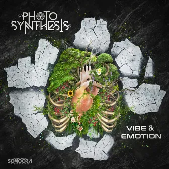 Vibe & Emotion by Photosynthesis