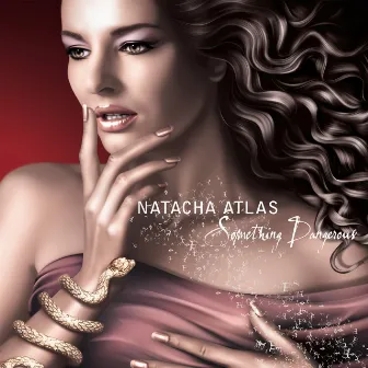 Something Dangerous by Natacha Atlas