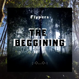 The beggining by Flypers