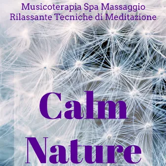 Calm Nature - Musicoterapia Spa Massaggio Rilassante Centro Benessere e Tecniche di Meditazione con Suoni della Natura New Age Strumentali by Healing Massage Music Masters