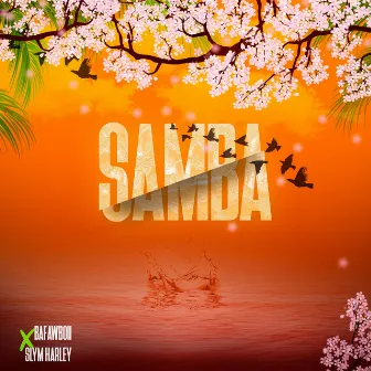 Samba by Bafaw Boii