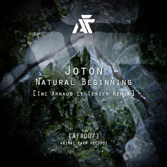 Natural Beginning (Inc Arnaud Le Texier Remix) by Joton