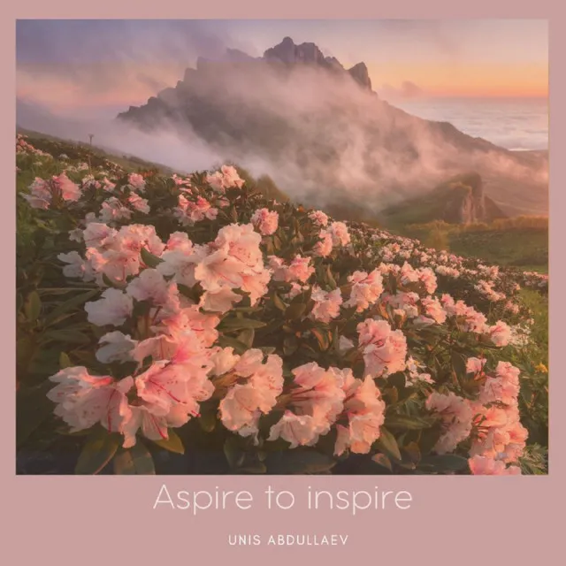 Aspire to Inspire