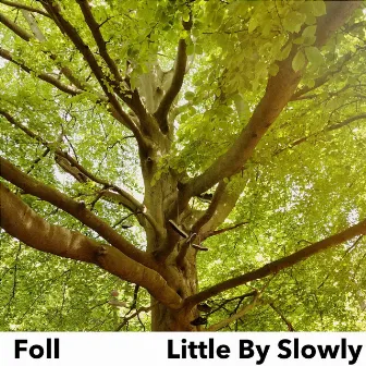 Little by Slowly by Foll