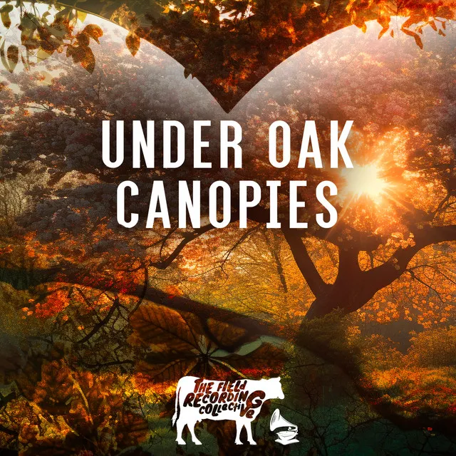 Under Oak Canopies