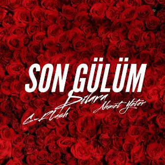 Son Gülüm by Ahmet Yeter