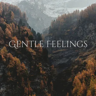 Wonderful Feelings with Dreams by Gentle Feelings