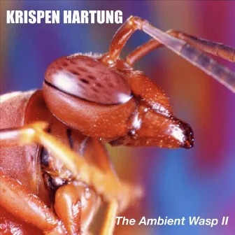 The Ambient Wasp II by Krispen Hartung