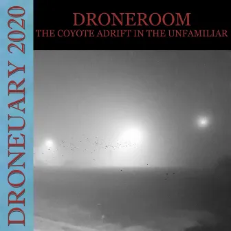 The Coyote Adrift in the Unfamiliar by Droneroom