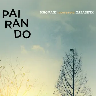 Pairando - Quarteto Maogani Interpreta Ernesto Nazareth by Quarteto Maogani