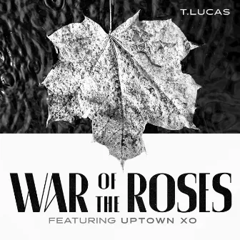 War of the Roses by T.Lucas