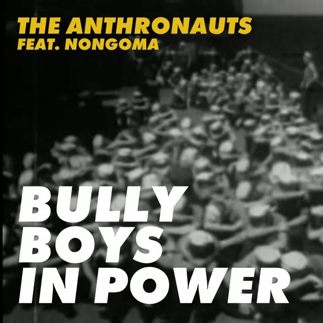 Bully Boys In Power