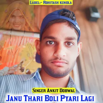 Janu Thari Boli Pyari Lagi by Singer Ankit Dobwal