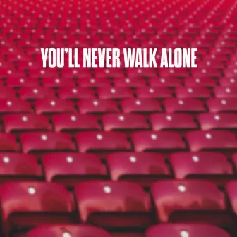 You'll Never Walk Alone by Skylar Fri