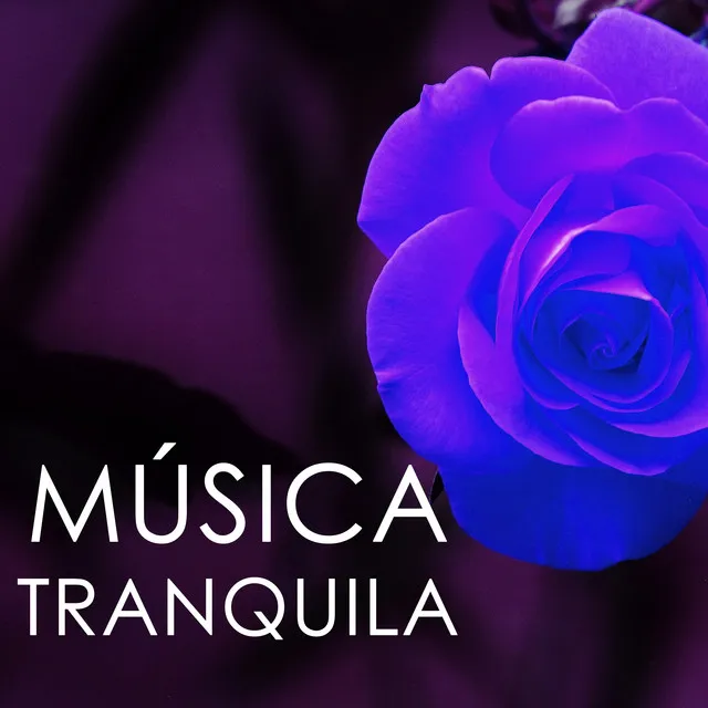 Música Tranquila - Canciones Relajantes para Dormir, Sanar el Alma y Disfrutar la Calma