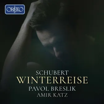 Schubert: Winterreise, Op. 89, D. 911 (Live) by Pavol Breslik