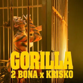 Gorilla by 2bona