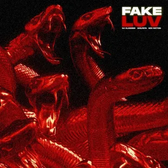 Fake Luv by Dj Aladdinn