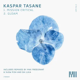 Kaspar Tasane by Kaspar Tasane