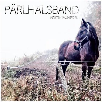 Pärlhalsband by Mårten Palmefors