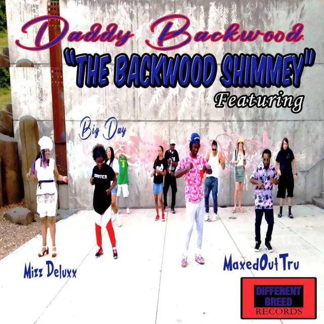 Backwood Shimmey - Radio Edit