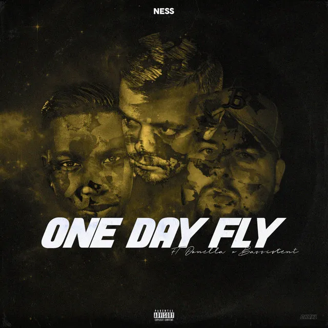 One Day Fly