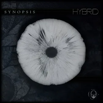 Synopsis by Hybrid