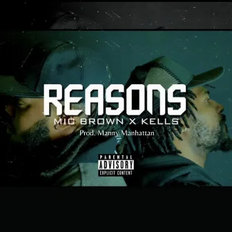 Reasons by Mic Brown