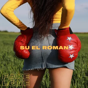 Fake Love by Su El Roman