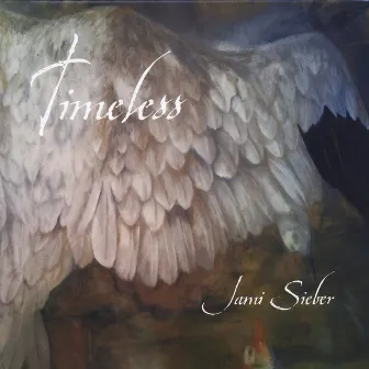 Timeless by Jami Sieber