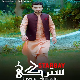 Stargay by Jawad Hussain