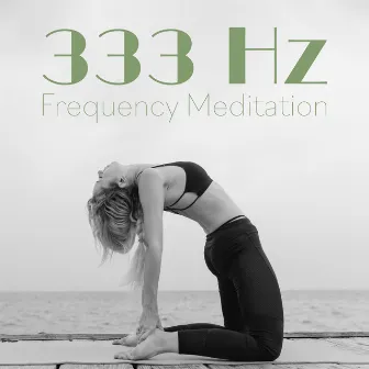 333 Hz Frequency Meditation by Meditation 2017