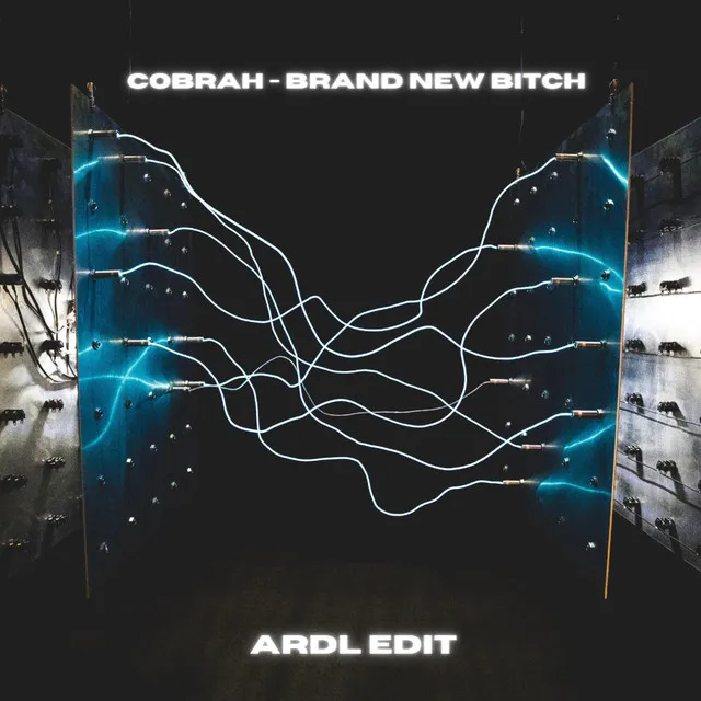 Brand New Bitch - ARDL EDIT